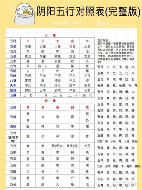 社工 五行|最全最实用五行职业对照表！